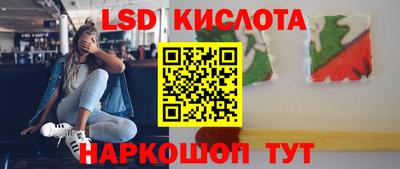 шишки Лесосибирск