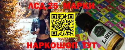 шишки Лесосибирск