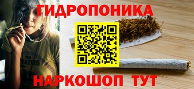 шишки Лесосибирск