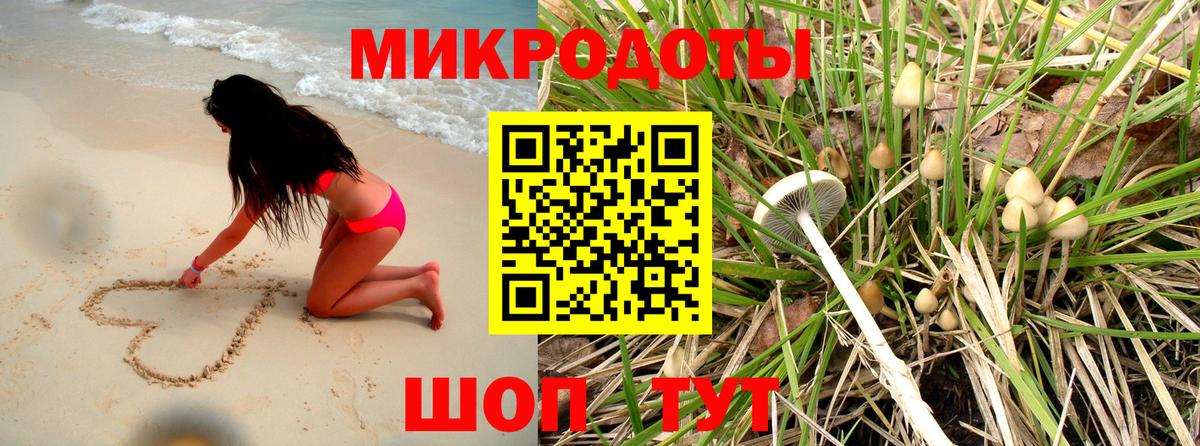 Псилоцибиновые грибы Psilocybine cubensis Хасавюрт