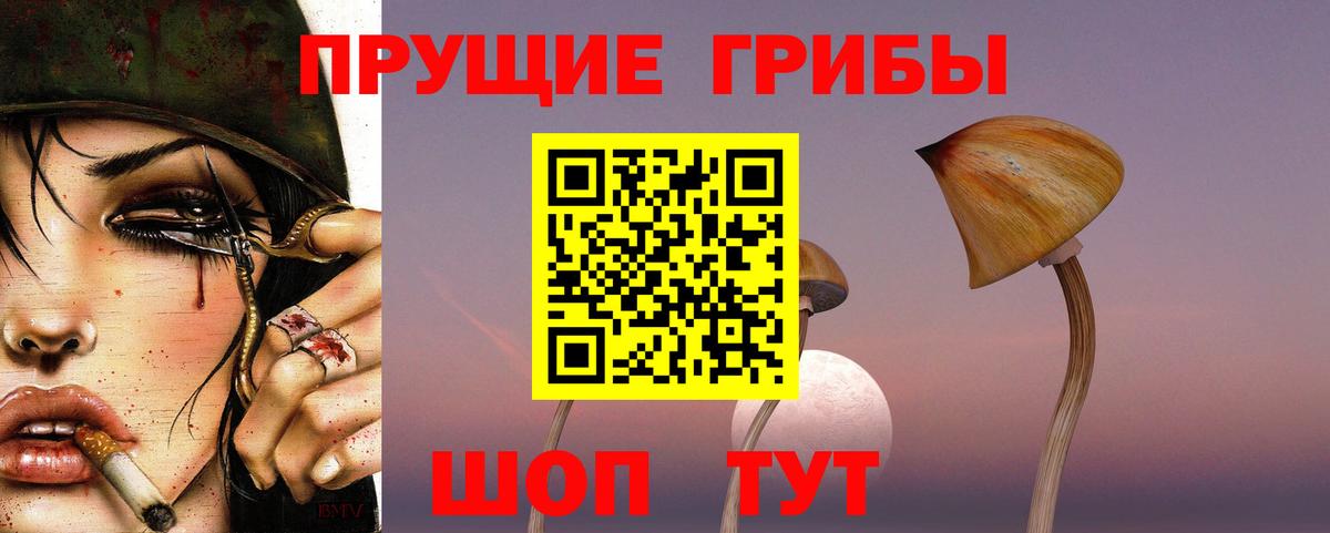 Хасавюрт  Псилоцибиновые грибы GOLDEN TEACHER  Вход с VPN 